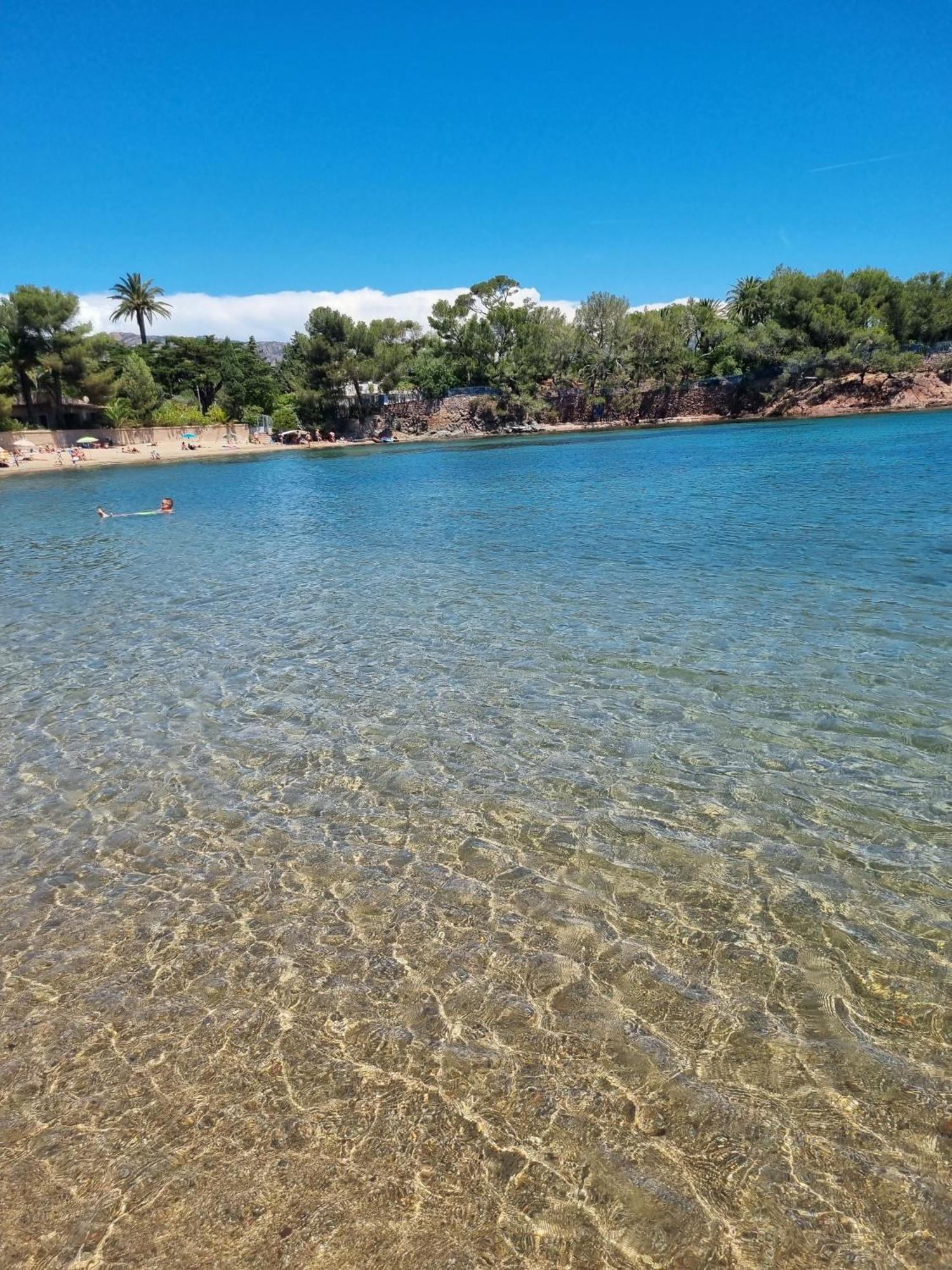 Studio 4P Vue Piscine St Raphael Valescure - Au Coeur Des Golfs Saint-Raphaël Eksteriør bilde