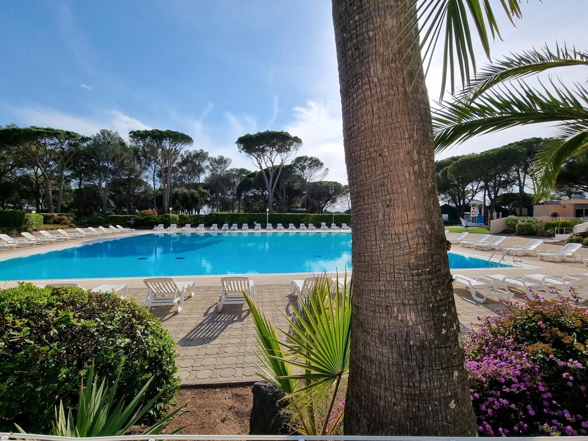 Studio 4P Vue Piscine St Raphael Valescure - Au Coeur Des Golfs Saint-Raphaël Eksteriør bilde